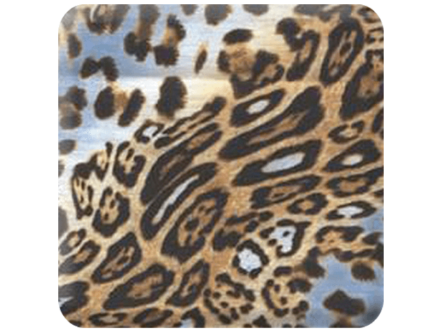 zulu_std_transfer_paper_715x540