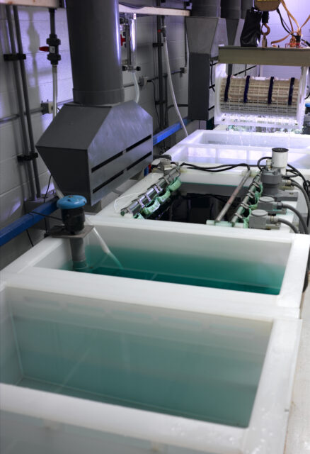 A plating line in an industrial ceramics factory.