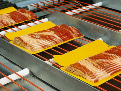 bacon packaging conveyor