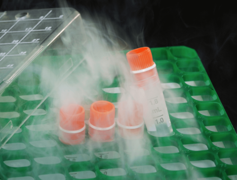 several test tubes with orange tops in a Cryogenic environment