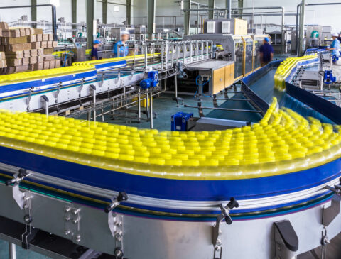 bottle conveyor belt