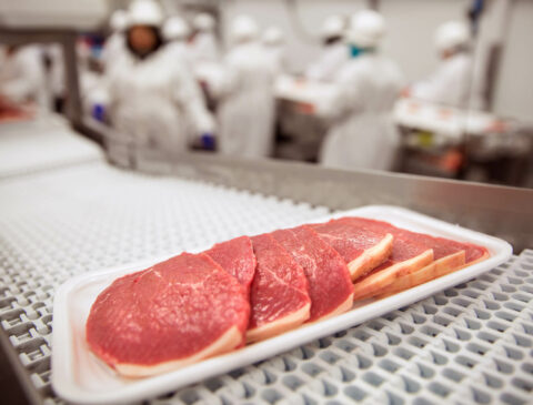 meat conveyor white
