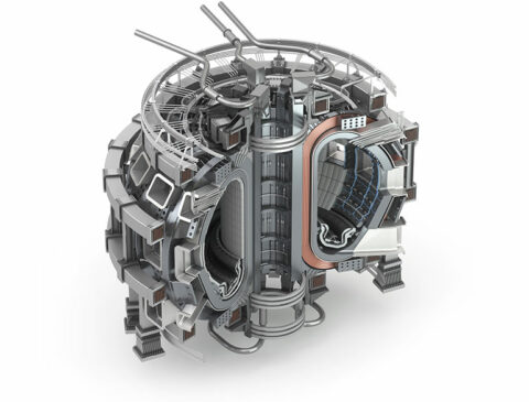 Plastics to support superconducting magnets in a Tokamak fusion reactor
