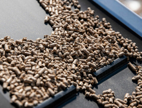 Abrasion resistant plastic flights on wood pellet conveyor